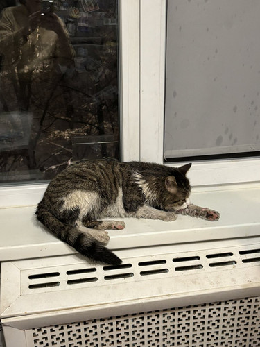 G cR CUWEAAbSLe?format=jpg.jpg