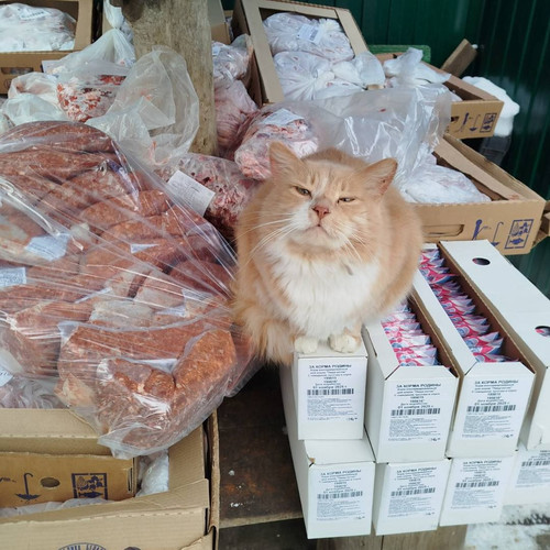 G b dfuW0AA3aM2?format=jpg.jpg