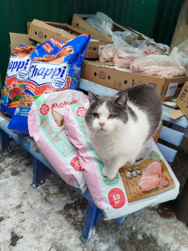 G b R4CWIAAM vd?format=jpg.jpg