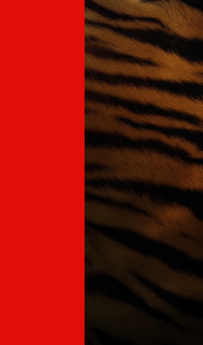 oruebaaaa.png