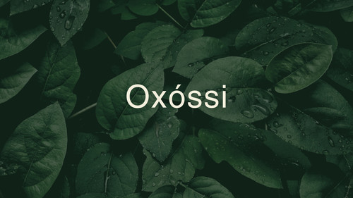 Oxóssi Edilene page 0001.jpg