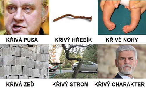 KŘIVÁK.jpg