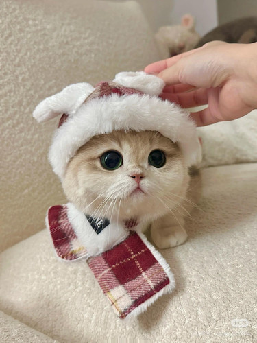 the cutest baby in the world v0 cma1qd6fvmpe1.jpg