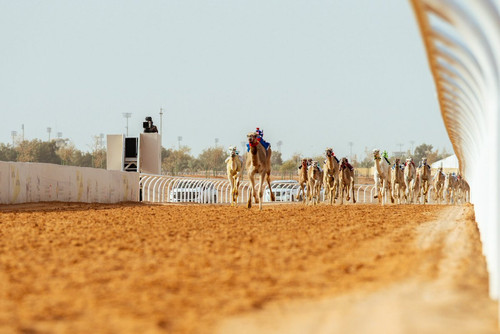 G XUeyJWMAA26IF?format=jpg.jpg