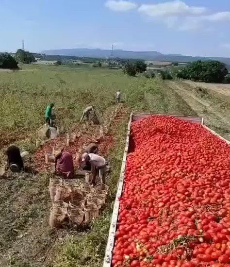 Zr d3TBxr04vsKzv.jpg