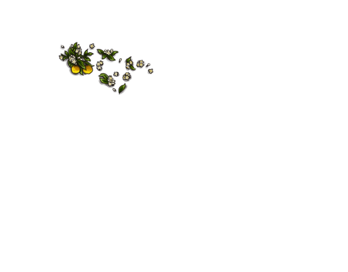 AS.png