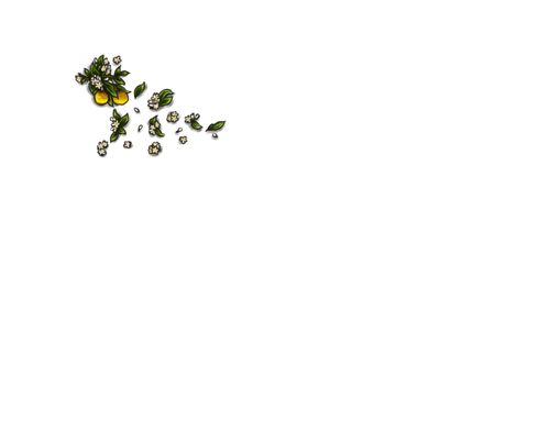 AM.png