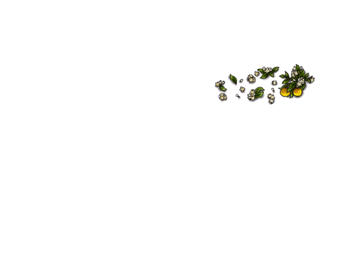 FN.png