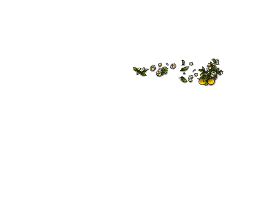 FS.png