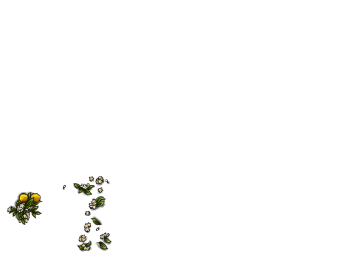 FJ.png