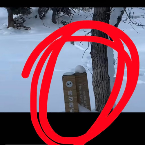 1000041717.jpg