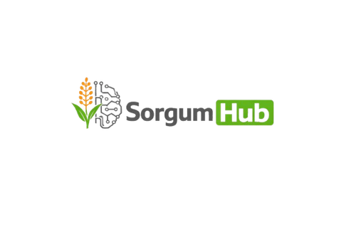 sorrgumhub light removebg preview.png