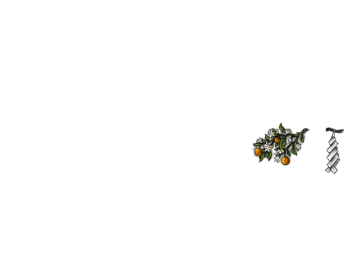 FN.png