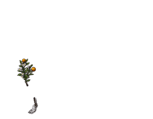FJ.png