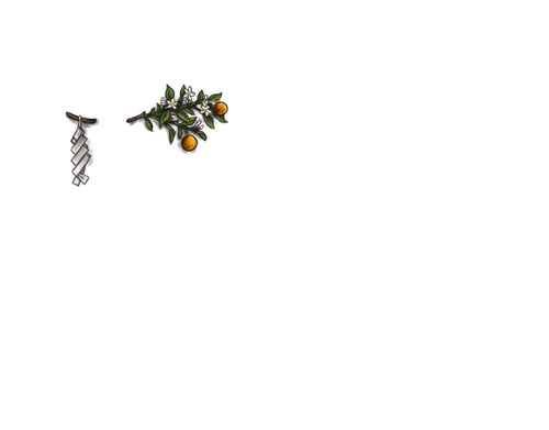 FK.png