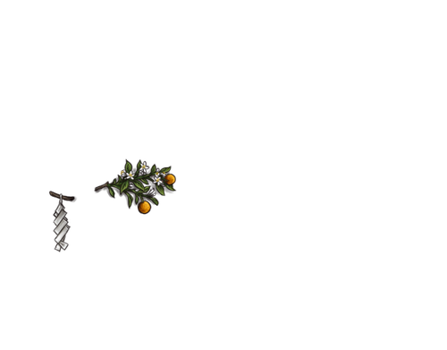 AM.png