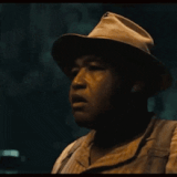 IMG 7025.gif