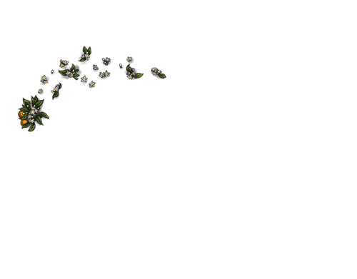 AM.png