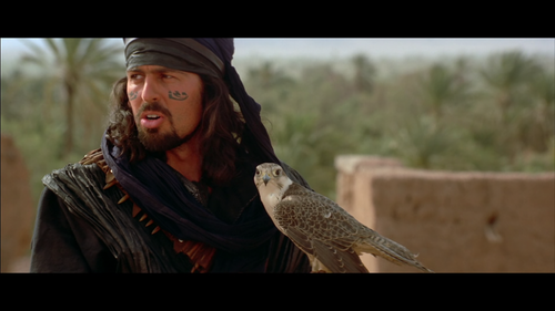 vlcsnap 2026 01 23 19h04m19s202.png