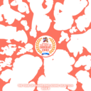 89a22edfce32.png