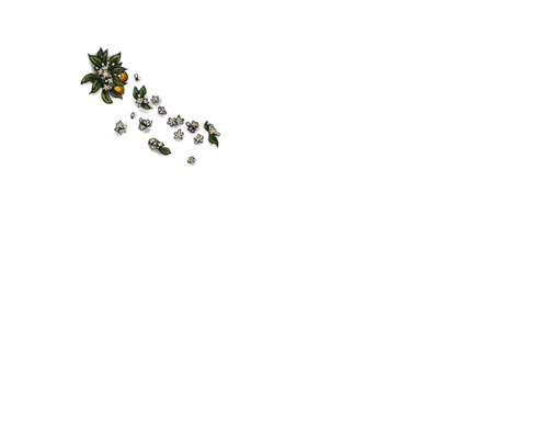 AM.png