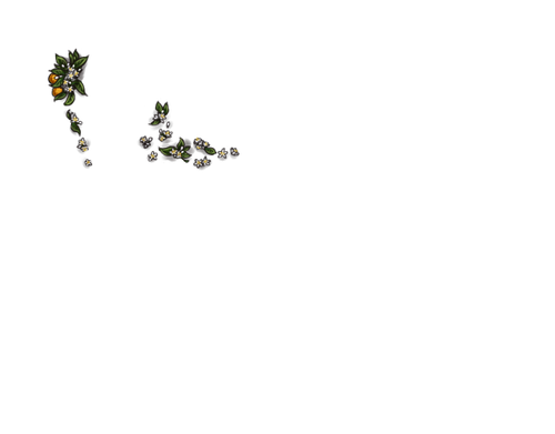 FK.png