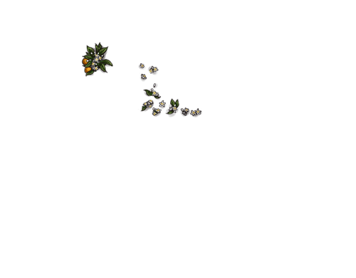 MADOL.png
