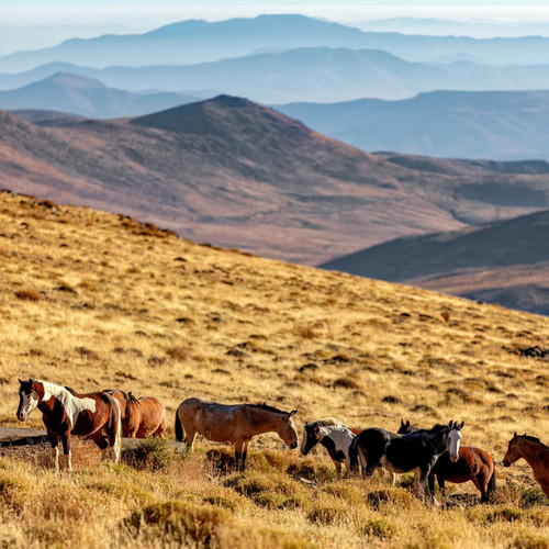 G XCPcdXIAAEDH ?format=jpg.jpg