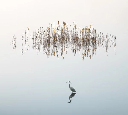 IMG 20260119 110438 31b6ec1a 6631 406e 84c5 dfcf7c5c206e.jpg