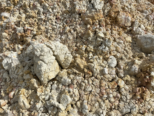 B47 1 (117).jpg