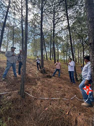 G c8wy5WIAAYAwx?format=jpg.jpg