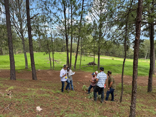 G c9NKZWwAAsi6y?format=jpg.jpg