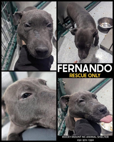 G Wlro0XIAANFZX?format=jpg.jpg