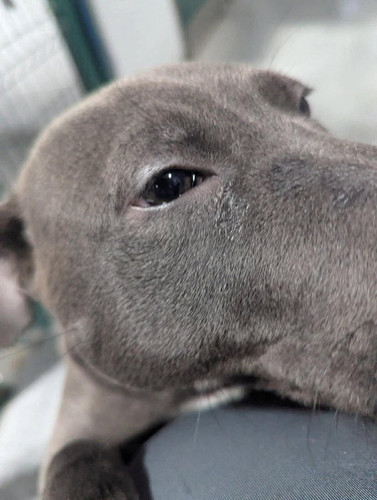 G XwZF5akAA5OBU?format=jpg.jpg