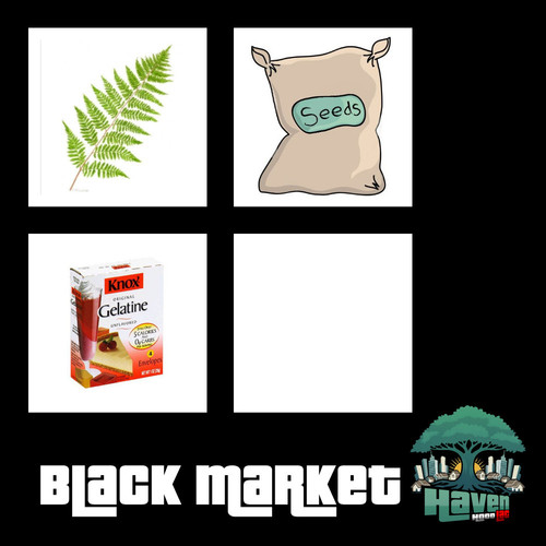 IMG 20260124 212731.jpg