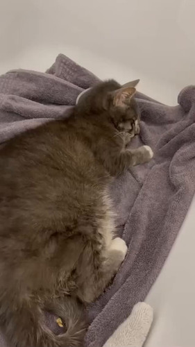 0OqfoQ2vr54y1 kd.jpg