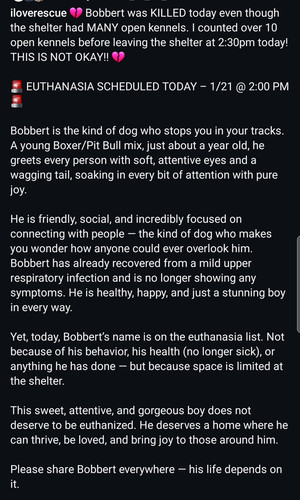 G P suvWIAAURb6?format=jpg.jpg