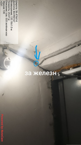 1000004987.jpg