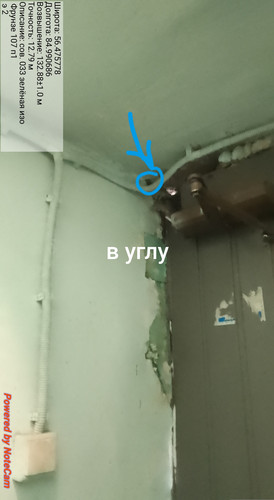1000004983.jpg