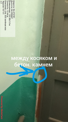 1000004984.jpg