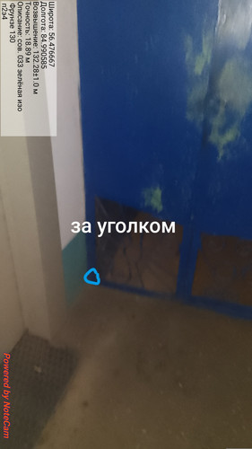 1000004991.jpg