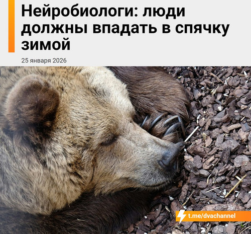 G dxM3oWcAAnEav.jpg