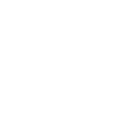 Reports.png