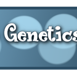Purrfection utilities genetic database