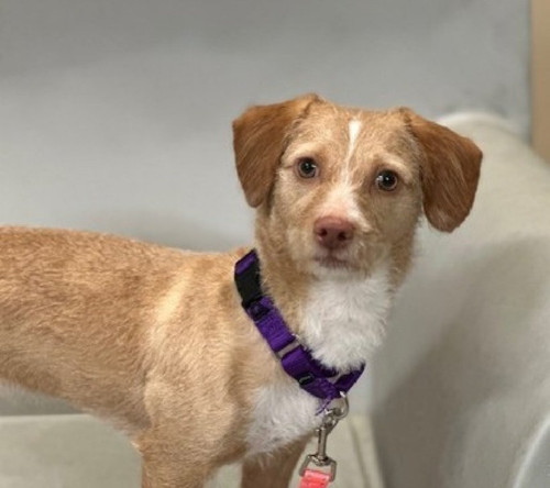 G ZqVwYXQAAjked?format=jpg.jpg