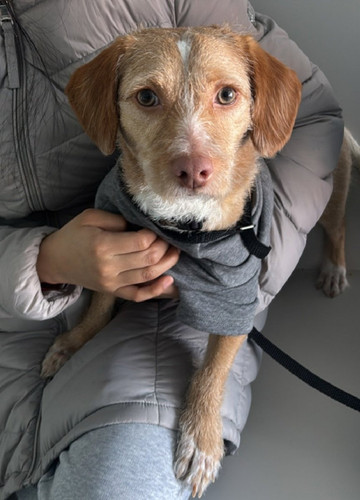 G ZqVzTXQAER aF?format=jpg.jpg