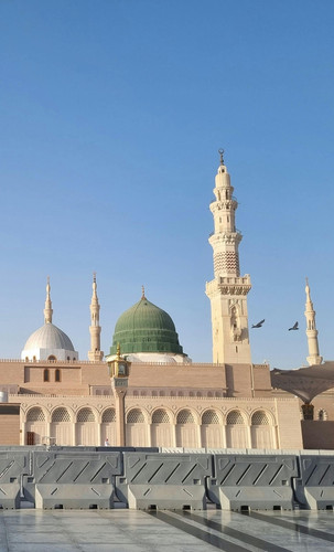 pexels gonuldenbirkare 2148244190 34500891.jpg