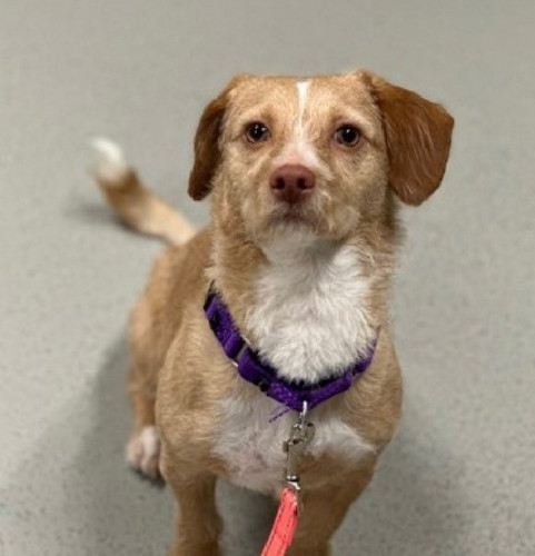 G ZqVyCWEAAytMT?format=jpg.jpg