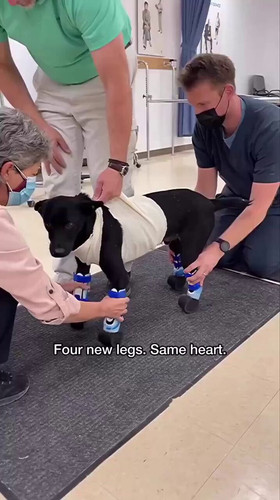 HXk90W8 8PG1rxKI.jpg