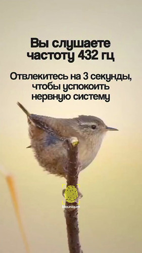 ppk7UBubusg6mXW .jpg